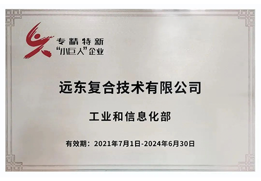 蓝狮复合技术专精特新小巨人企业