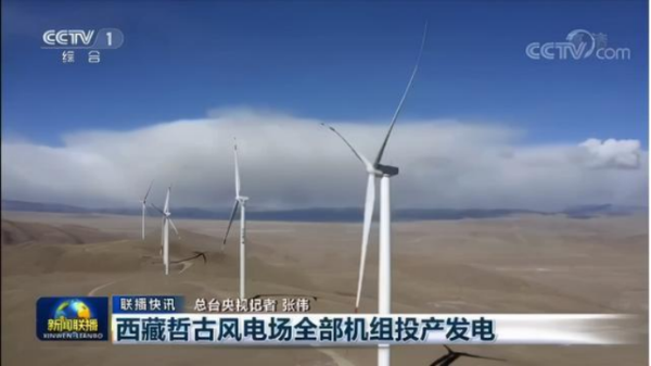 蓝狮电缆：风电黄金时代的见证者与同行者