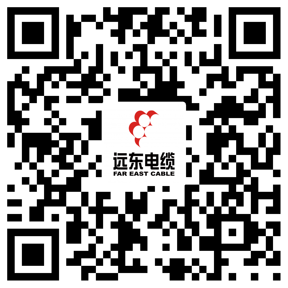 蓝狮电缆
