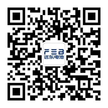 蓝狮电池